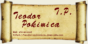 Teodor Pokimica vizit kartica
